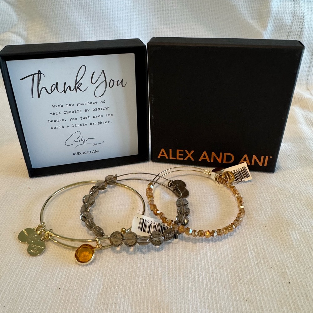 Alex and Ani Gold and Silver Women's Bracelet Set